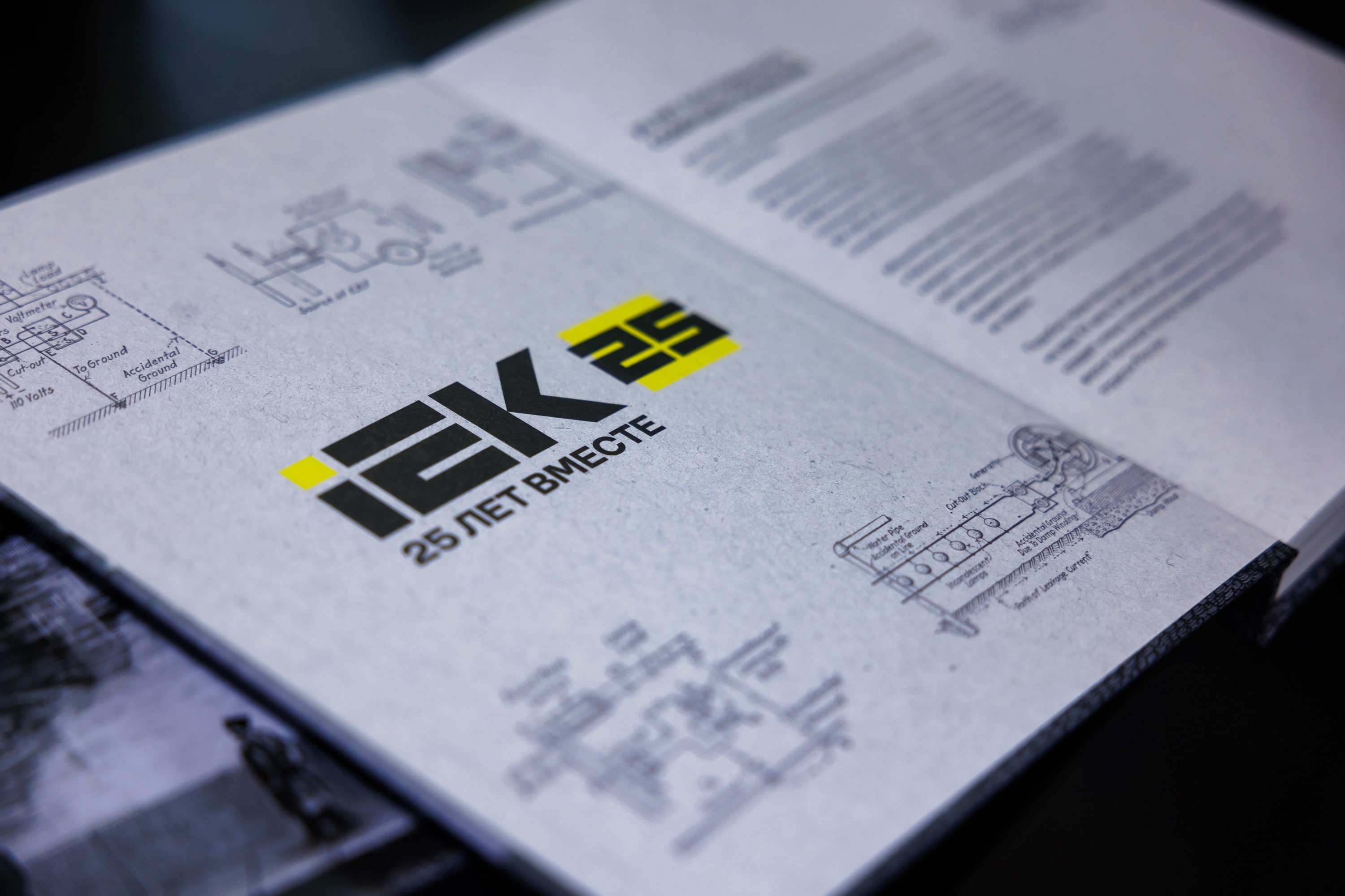 25 лет IEK