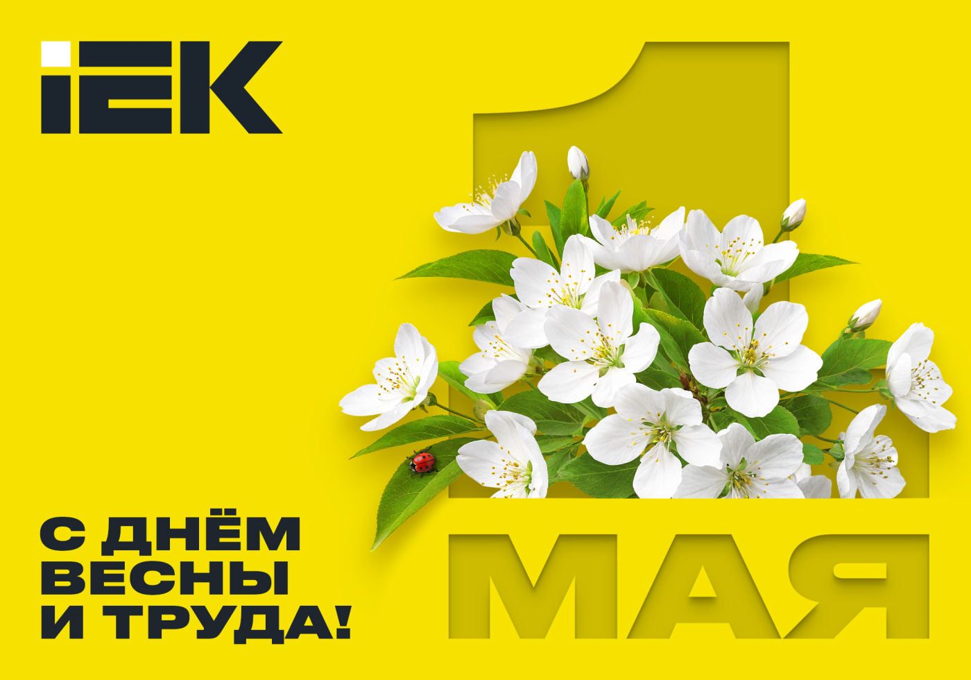 otkritka_IEK_1_may_2026_2000x1400px(1000x700px)_web.jpg