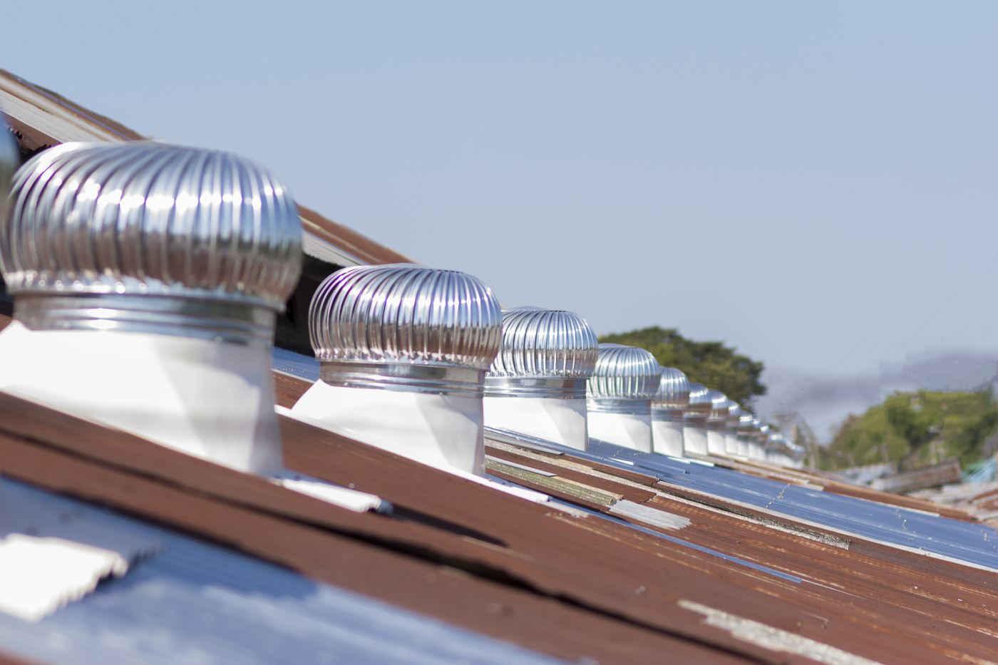 shutterstock_564394438.jpg shutterstock_564394438.jpg